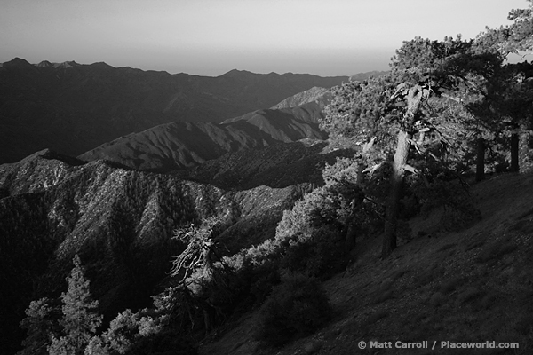 pine on ridge, surrounding mountains, black and white