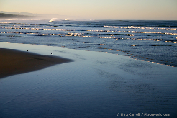 Oregon surf