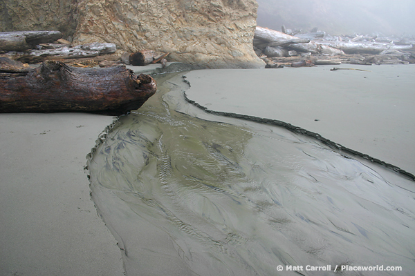 creek crossing beach