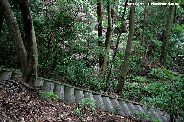 Stairway in a sacred forest in Kyoto