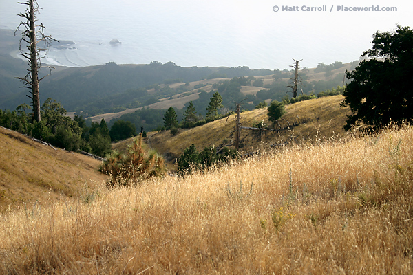 Big Sur view