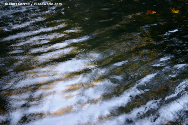 mountain creek and two floating leaves