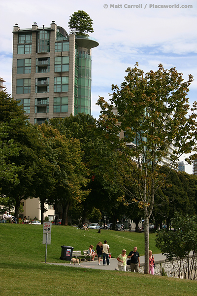 Penthouse tree on West End