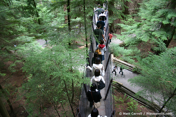 Treetops adventure