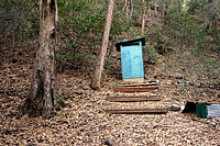 Outhouse in the woods