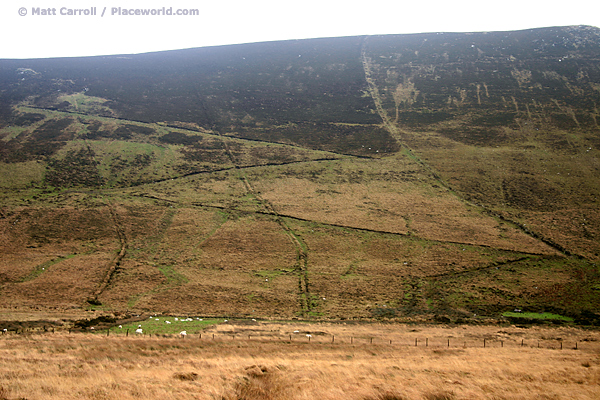 famine fields