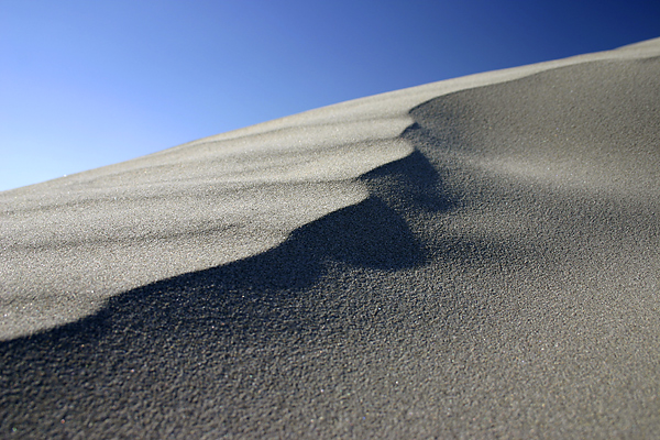 beach dunes