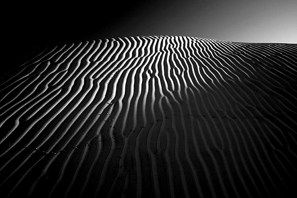 dune at dawn