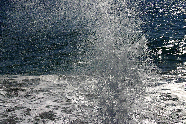 ocean spray