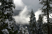 Fresh Sierra snowfall