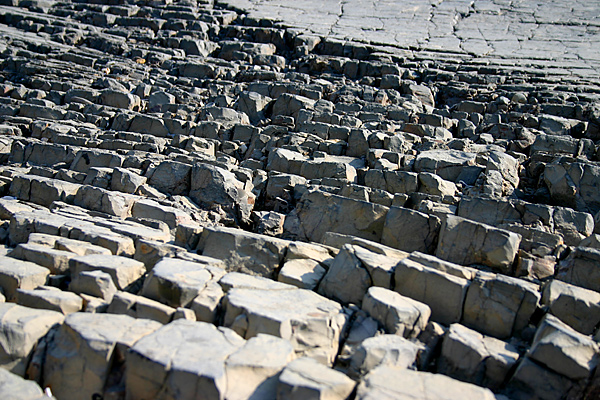 tilted coastal rock