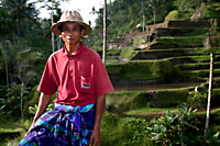 Wayan the farmer, Tegalalang, Bali, Indonesia