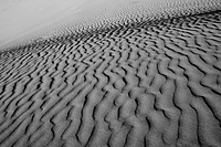 Rippling Dune Formation