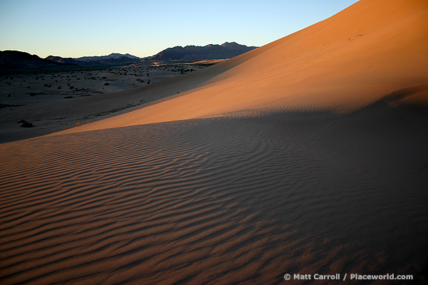 evening dunes