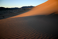 Mojave Desert Dune Landscape
