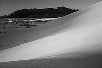 Dune field in the California desert
