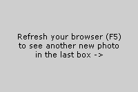 Refresh your browser to see new image to right