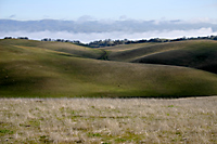 Cholame Hills Above Foggy Valley, California