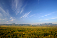 Carrizo Plain and Caliente Range
