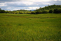 Green Countryside