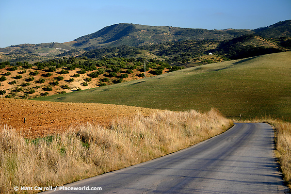 hilly landscape with olive orchard, pasture, and country road